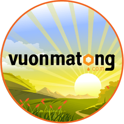 vuonmatong